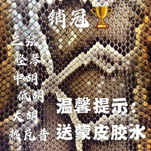 三弦乐器皮热瓦普蟒皮三弦蛇皮中胡蛇皮扎木念蛇皮坠琴蛇皮大胡皮