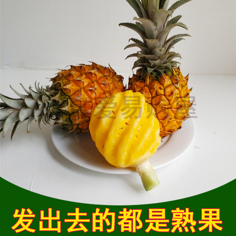 广西香水小菠萝当季新鲜水果手撕菠萝金钻菠萝纯甜比泰国菠萝香甜