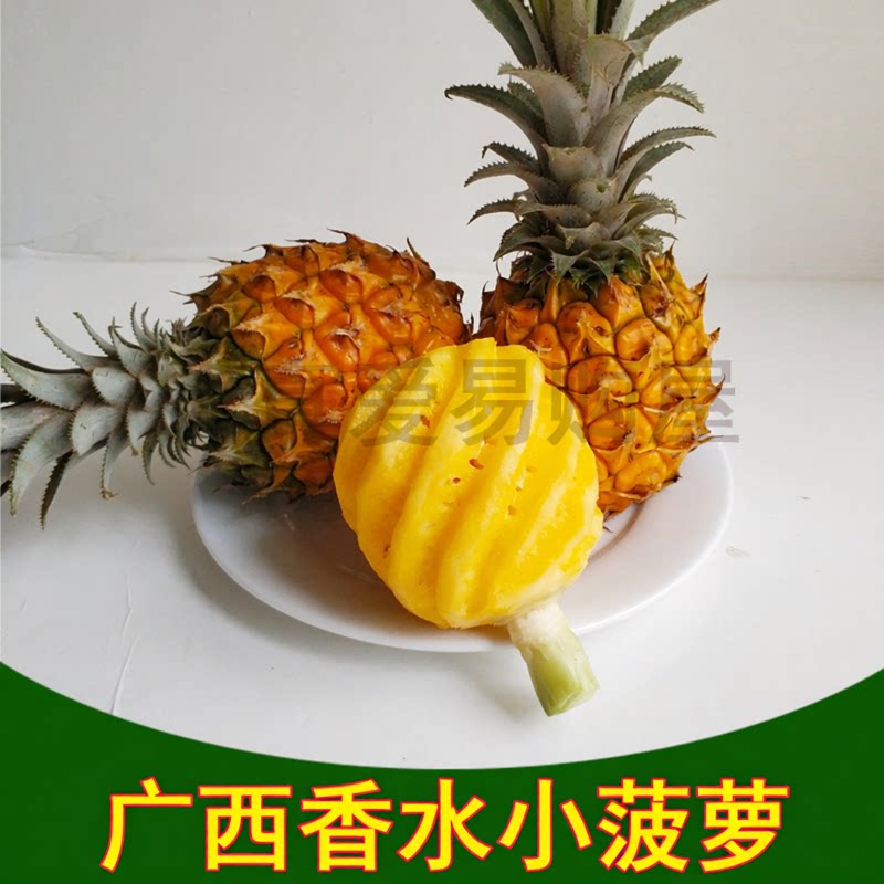 广西香水小菠萝当季新鲜水果手撕菠萝金钻菠萝纯甜比泰国菠萝香甜