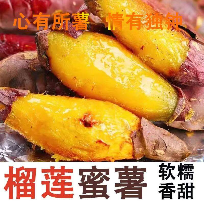 广西榴莲蜜薯玛莎莉红薯番