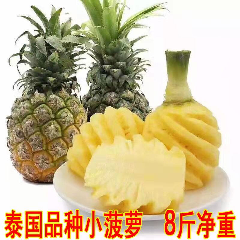 现摘泰国品种菠萝迷你香水小菠萝 新鲜当季孕妇水果 青菠萝除异味