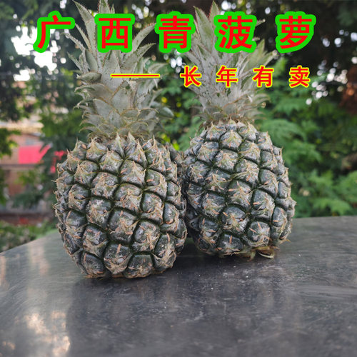 广西菠萝新鲜应季青皮菠萝