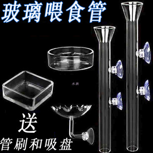 鱼缸玻璃喂食管水晶虾喂食器观赏鱼空中虾食盆双吸盘喇叭口投食管