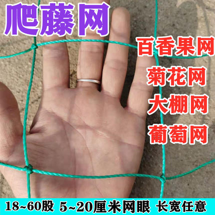 爬藤网百香果网葡萄网菊花网种植网方格网瓜果网