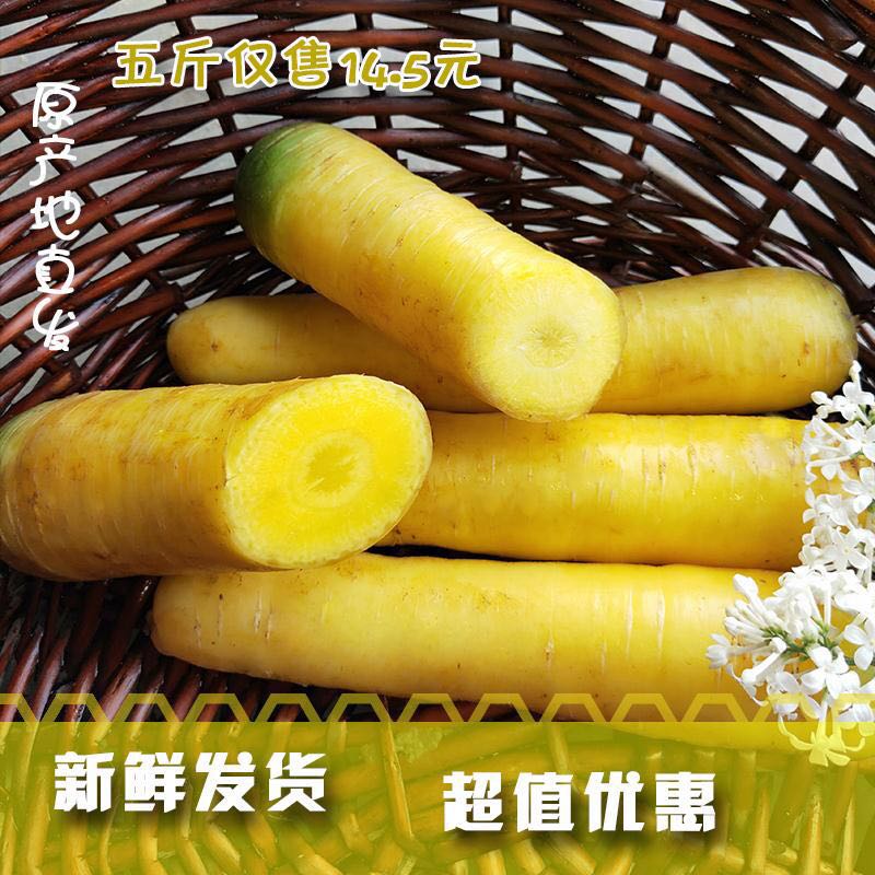 新鲜山西榨汁无公害自种黄胡萝卜