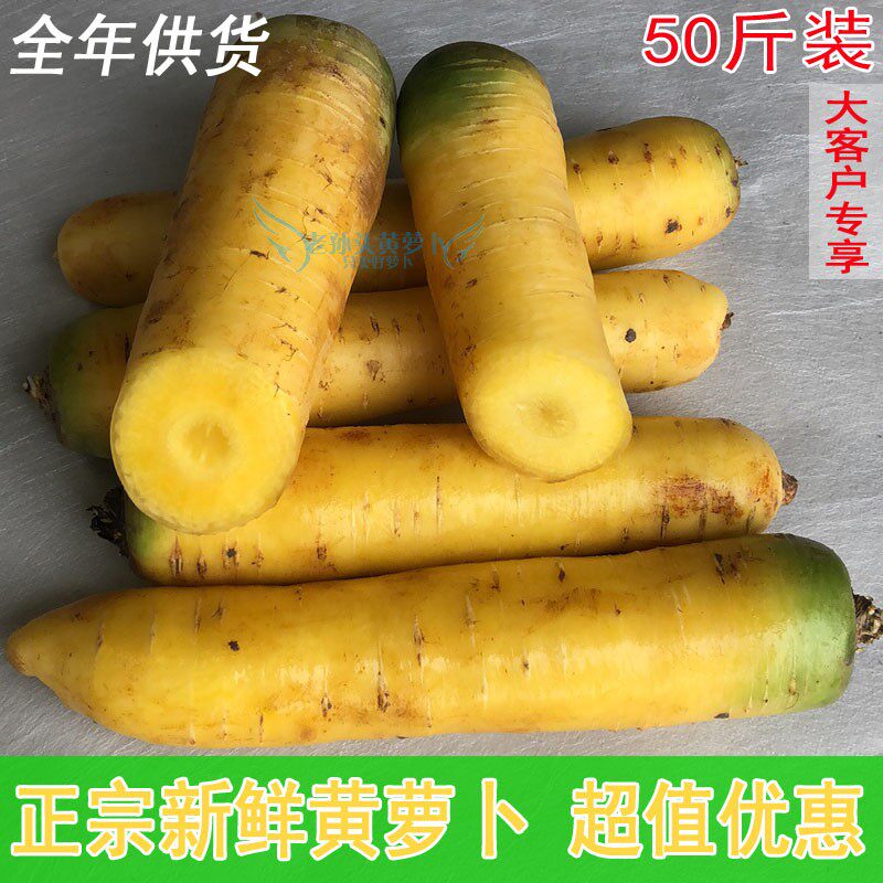 山西黄萝卜新鲜蔬菜榨汁水果黄胡萝卜50斤包邮新疆羊肉手抓饭萝卜