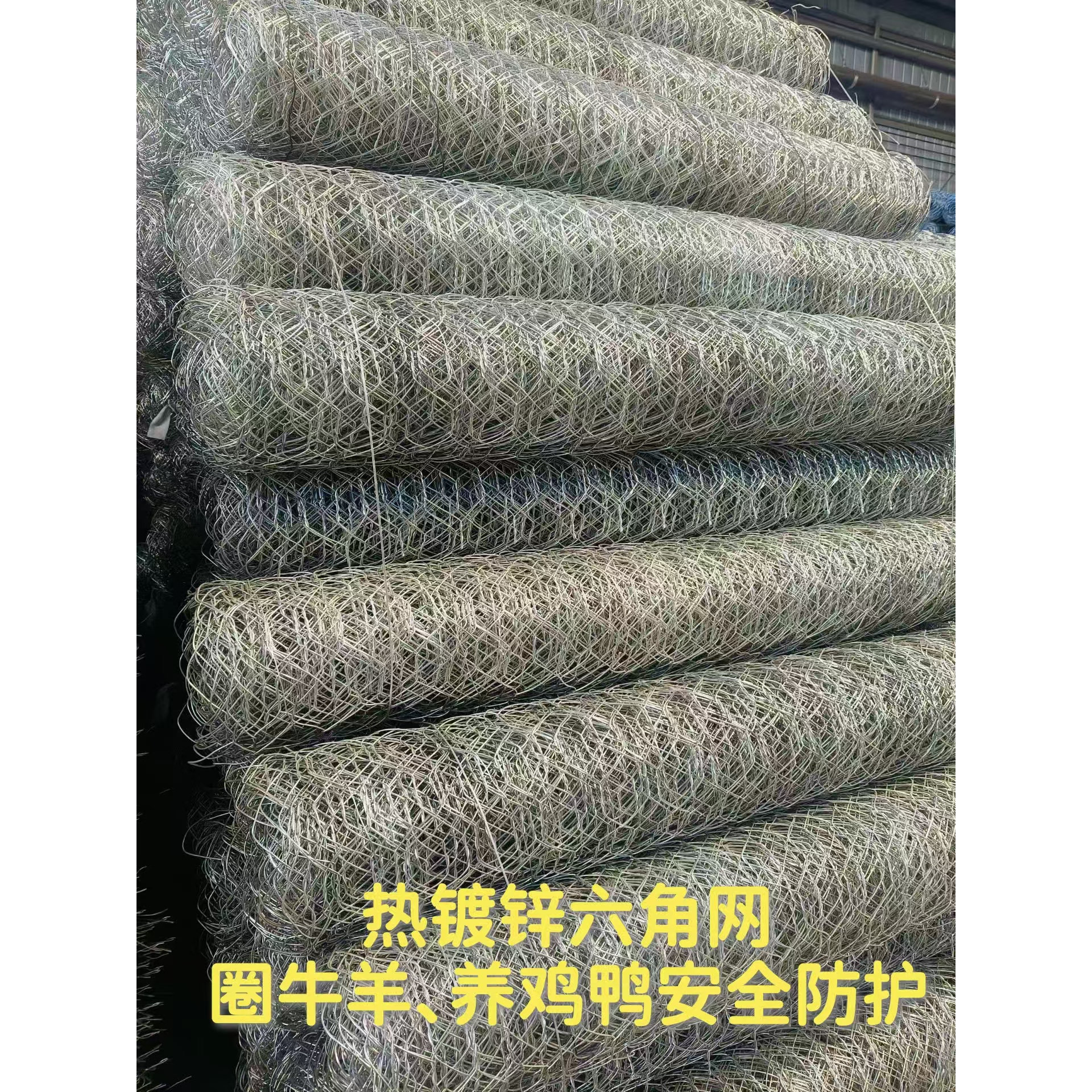 热镀锌铁丝网 养殖网果园隔离网勾花网养鸡鸭牛羊猪防护网