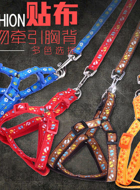 小型犬泰迪狗狗牵引绳