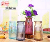 大号玻璃花瓶干花插花玻璃花瓶彩色鲜花瓶客厅样 便宜欧式 厂家 包邮
