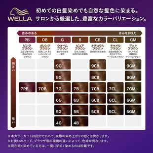 X现货当天发 江浙沪包邮新版日本威娜WELLA2加1遮白发染发膏剂24