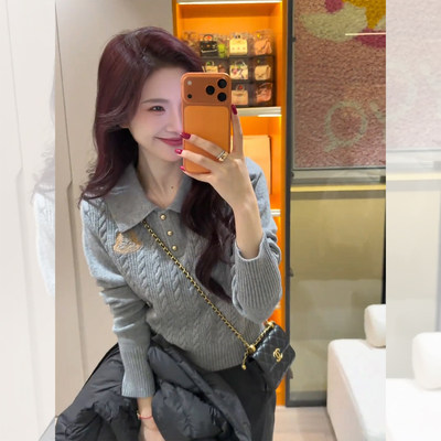 韩系Polo领灰色刺绣针织