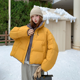 现货冬装新款基础款里布撞色面包服羽绒服202-5618-P255-K388，女装羽绒服，浙宝202