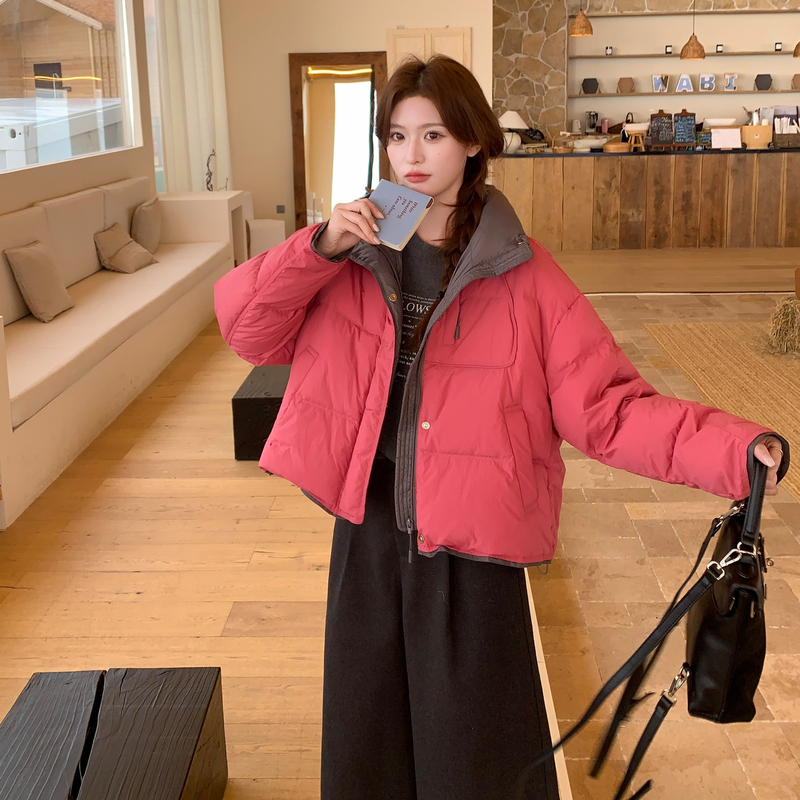 新款冬装撞色短款基础款羽绒服202-5642-P255-K385，女装羽绒服，浙宝202