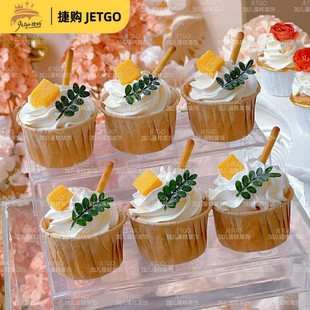 新鲜清香木叶子蛋糕装饰摆件香叶树烘焙装扮西餐甜品点缀花草绿植