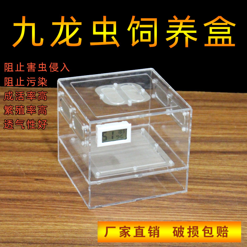 九龙虫饲养盒亚克力九龙虫繁殖盒幼虫或粪便分离器九龙虫饲养繁殖