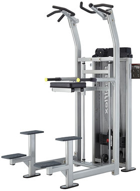 史帝飞/Steelflex HCD2100 辅助单双杠训练器 健身房商用力量单机