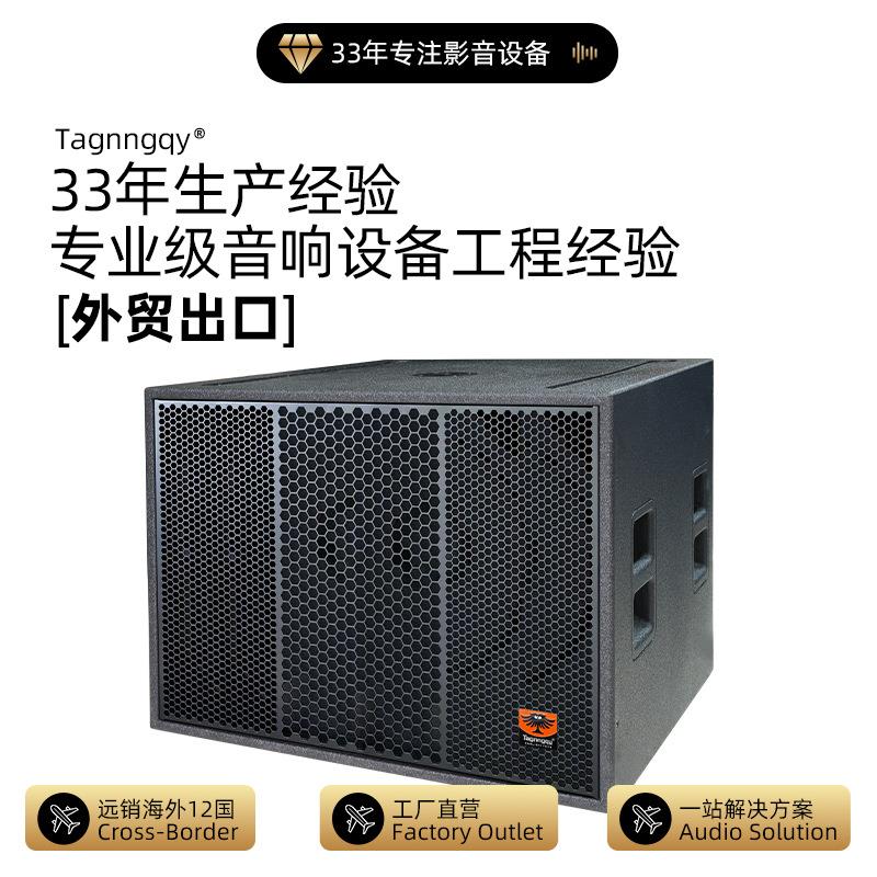 天朗音响跨境外贸18寸超低频音箱影院演出ktv会议室演讲音箱