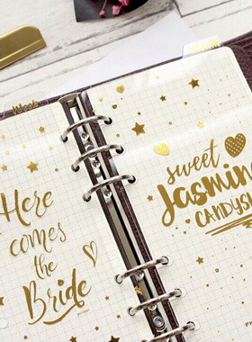 活页板原创烫金6孔活页手帐A6分隔页today尺/周月透明PVC分隔