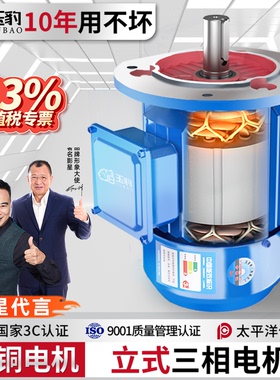 全铜立式电机380v三相2/4/6极马达卧式变频YE3国标三相异步电动机