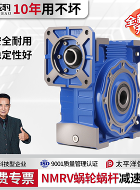 RV30 40 50 63 75 90110减速机蜗轮蜗杆齿轮箱小型NMRV涡轮减速器