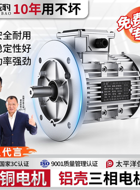 YS全铜铝壳电机0.37/0.55/0.75/1.1/1.5/2.2KW三相异步电动机380V