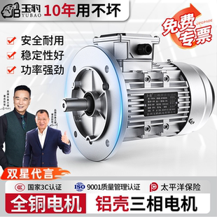 1.5 YS全铜铝壳电机0.37 1.1 0.75 2.2KW三相异步电动机380V 0.55