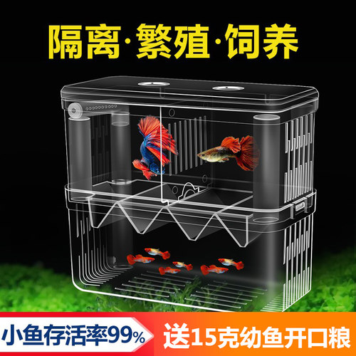 鱼缸隔离盒孵化繁殖大小