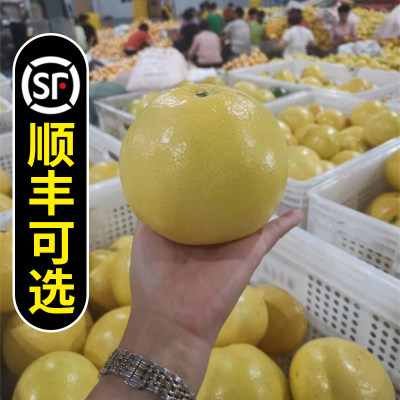 新鲜现摘葡萄柚5斤装大果4-6个黄金蜜柚孕妇水果当季水果顺丰可选