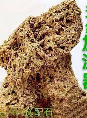吸水石原石上水石天然盆景麦管石