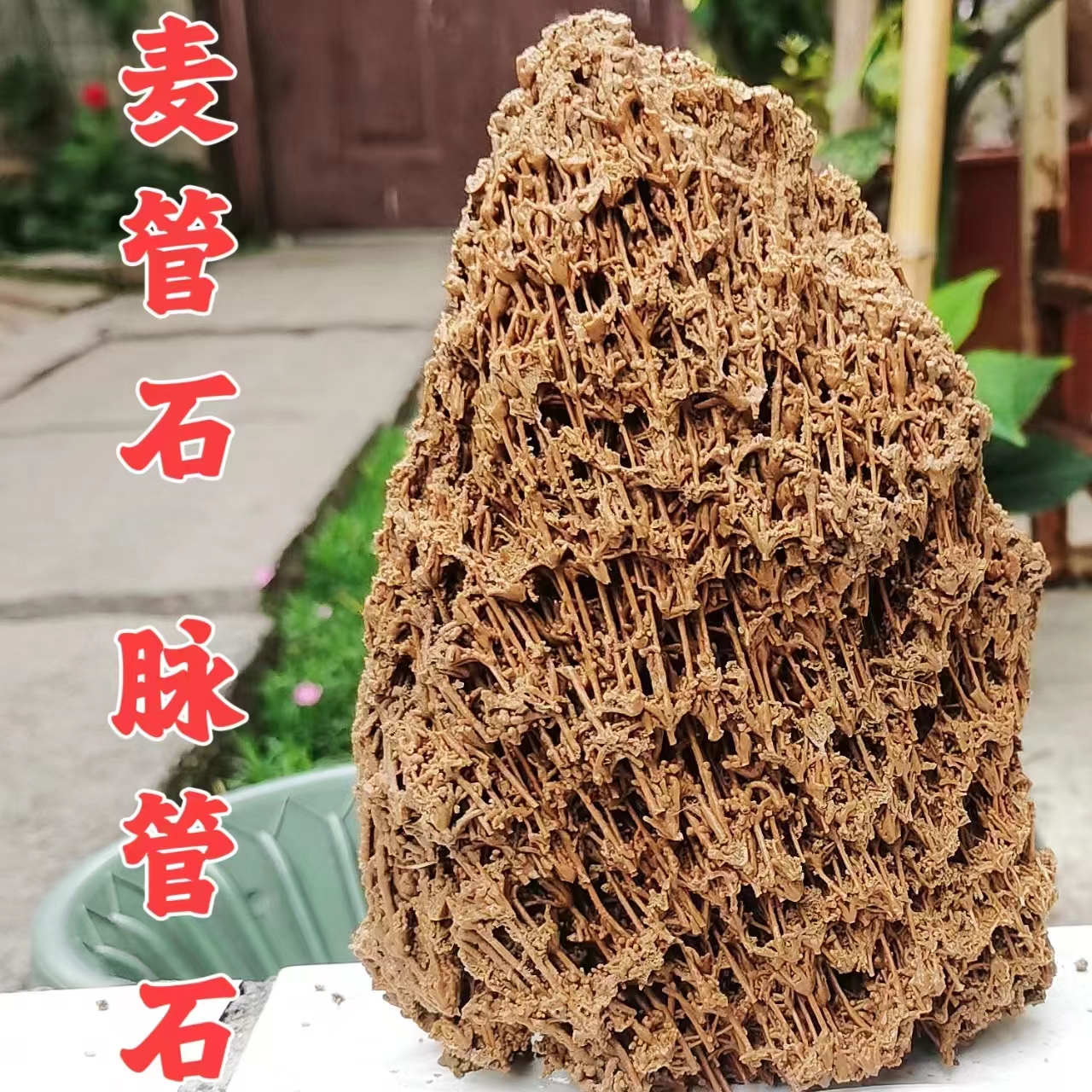 麦管石脉管石太行山吸水石上水石风水发财石水锈石水秀钟乳芦管石