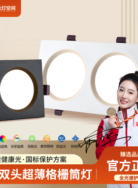 黑色筒灯led嵌入式长方形超薄开孔16*8双孔方形双头射灯20*10cm孔