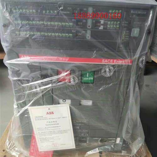 E1S1000R1000PR121/P-LIWMP