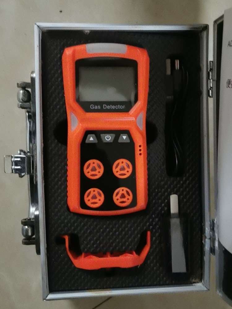 爱德克斯ADKS4气体检测仪