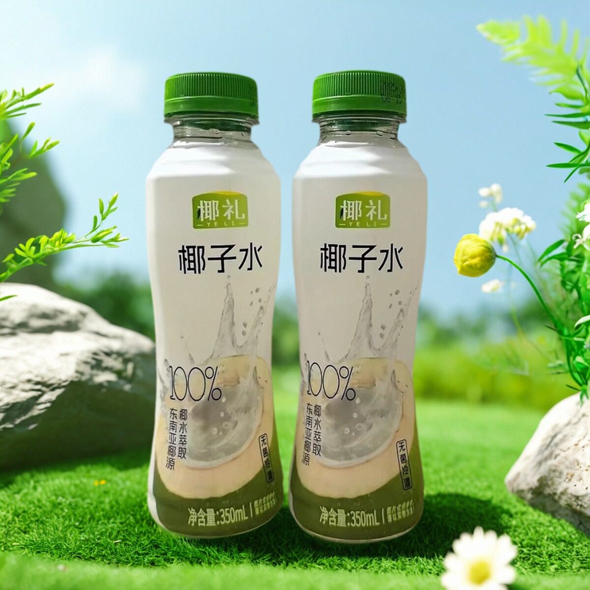椰礼椰子水饮料运动健身补水整箱