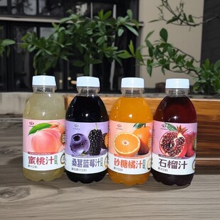 中博蜜桃桑葚蓝莓砂糖橘石榴汁500ml*15瓶真果粒大瓶装