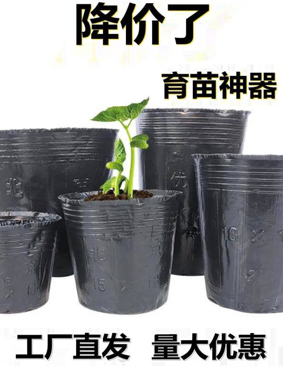 营养杯育苗杯育苗盆营养钵塑料碗大号一次性农用种植营养袋育苗袋