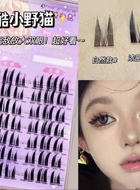 纯欲野性懒人猫精灵恶魔假睫毛自然仿真单簇分段式浓密小猫耳新手