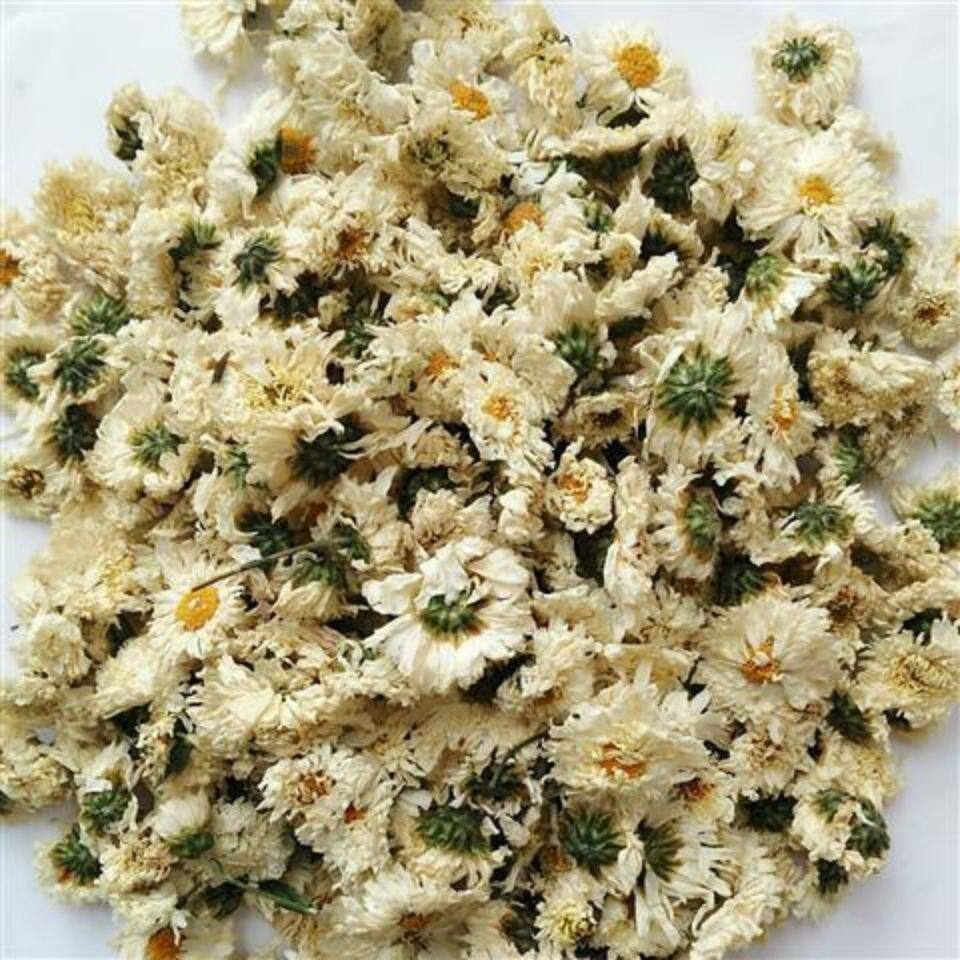 新花上市黄山白菊花茶500