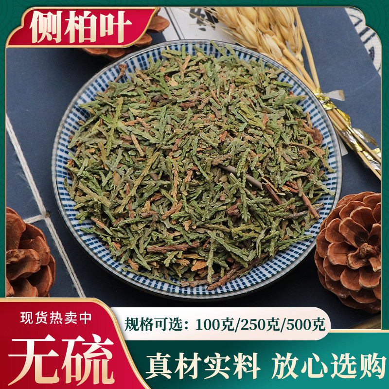 野生侧柏叶浮萍500g克侧百叶测柏叶柏树叶扁柏叶丛柏叶干中药材