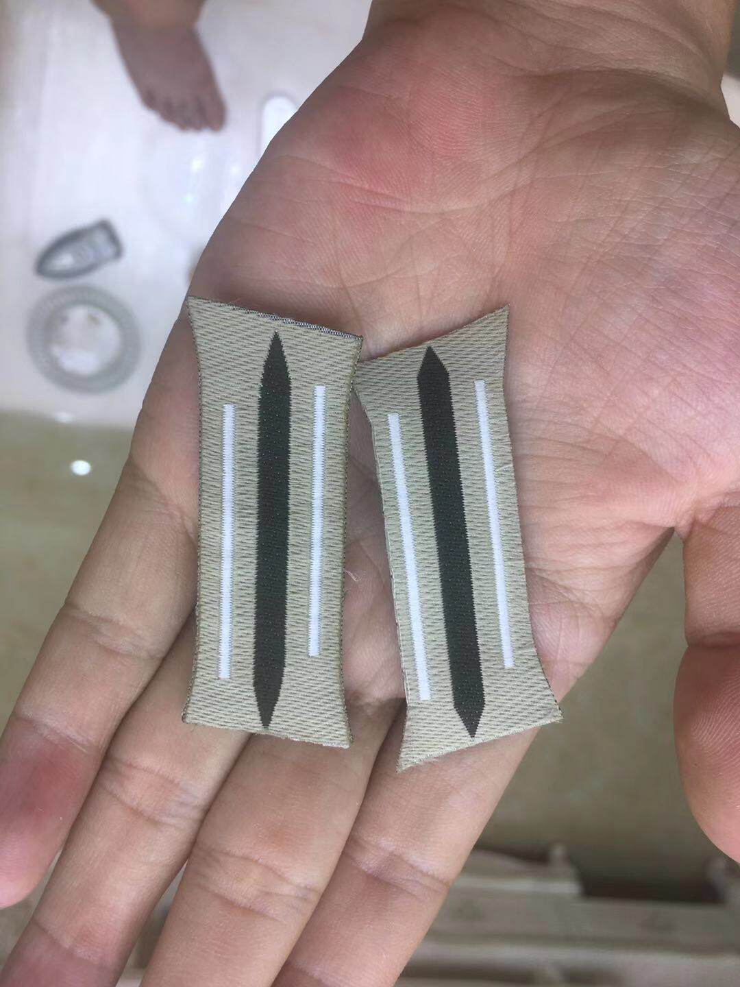 进口高端德国陆军领章【国防军深绿色】