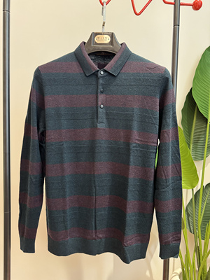 2024长袖t恤男士秋季新款中年翻领上衣100%羊毛薄款16007