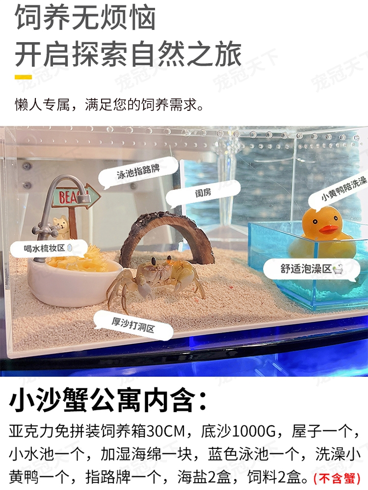 新品小沙蟹饲养套装陆生海水淡水观赏宠物蟹懒人混养寄居蟹包邮包