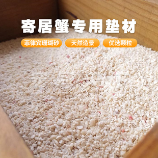 鱼缸底砂白沙菲律宾沙珊瑚砂寄居蟹用品专用沙子500g一斤沙滩造景