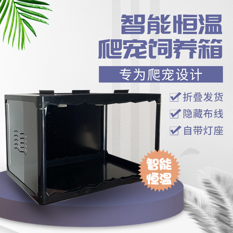 懒人宠物另类寄居蟹缸套装活体小型迷你螃蟹桌面宠物饲养箱套餐