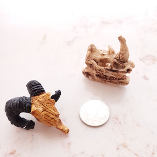 爬虫箱蜥蜴蜘蛛蛇缸树脂仿真羊头恐龙头骨造景另类摆设装饰小号