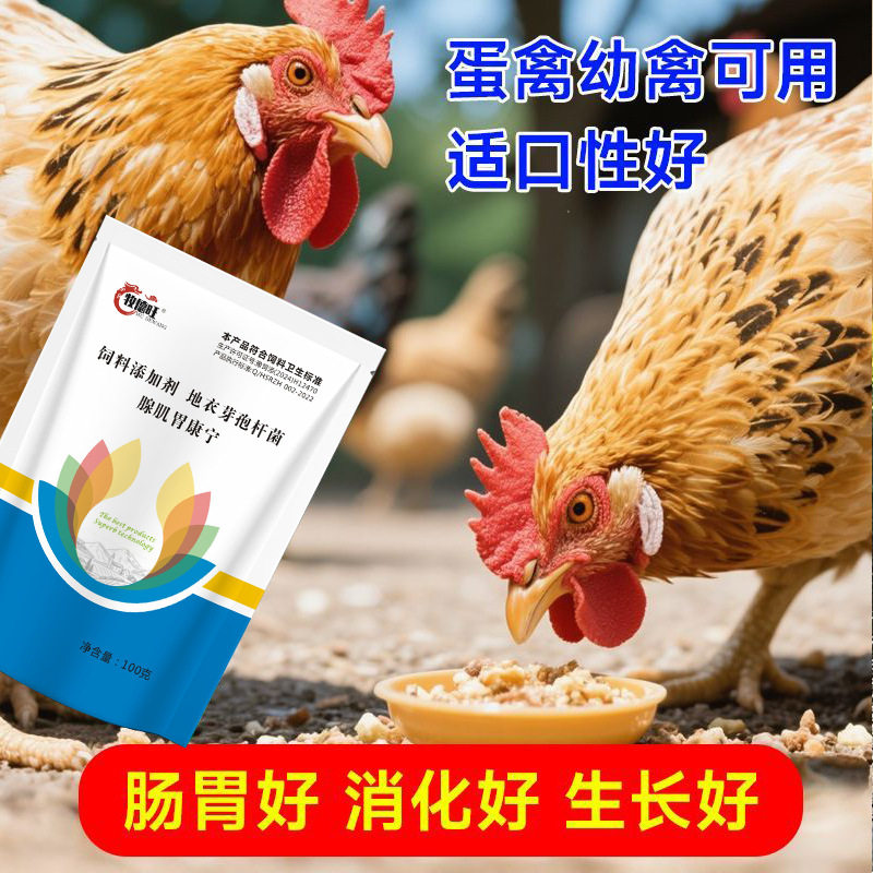 牧德旺腺肌胃清鸡鸭鹅养殖常备胃粘膜修复腺胃好胃康宁畜牧添加剂