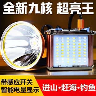 冠火超亮头灯大光斑强光远射12V户外赶海蚂蟥夜钓鱼灯矿灯长续航