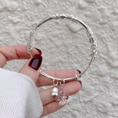 繁花似锦蝴蝶银镯子纯银999足银手镯女生礼物推拉实心手环送女友