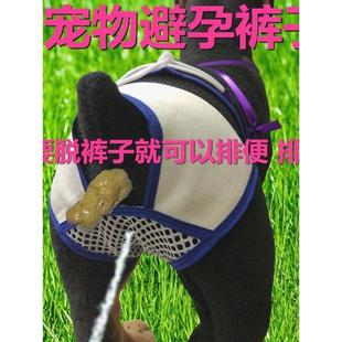狗狗生理期安全裤宠物母狗防止狗狗交配发情神器月事裤金毛泰迪