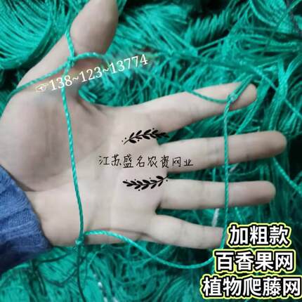 园艺植物爬藤网瓜果吊瓜蒜黄菊花定型种植方格网葡萄攀爬百香果网